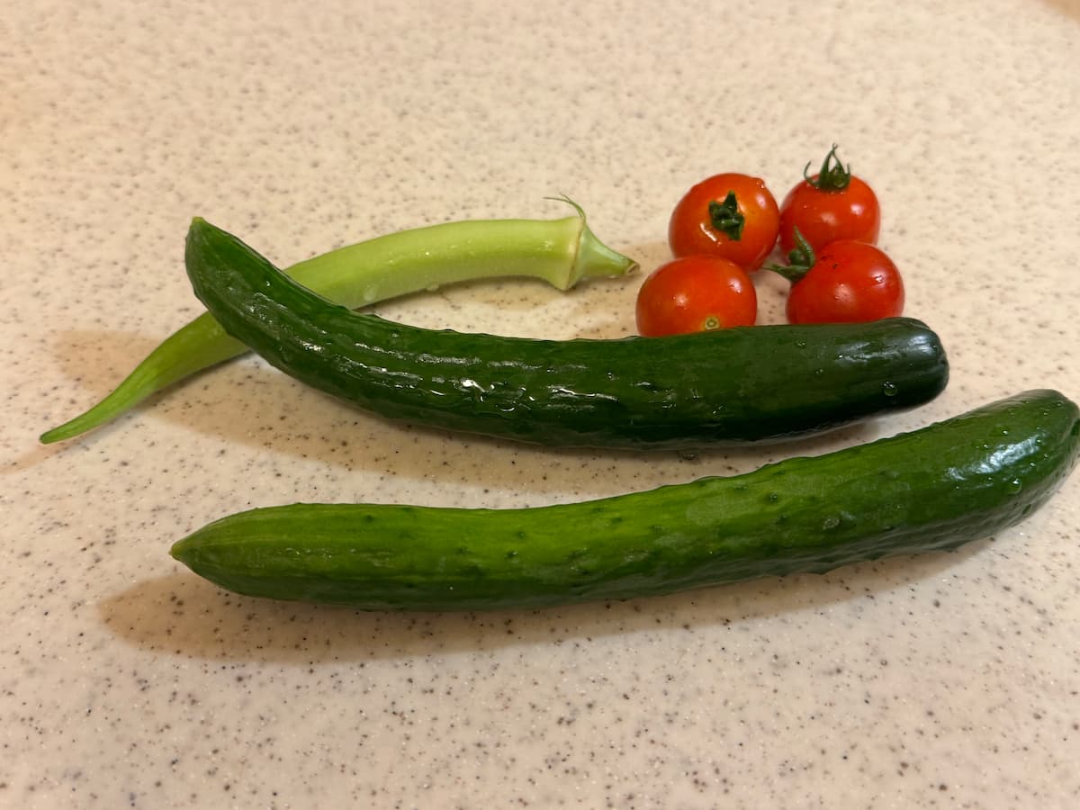 今年の家庭菜園